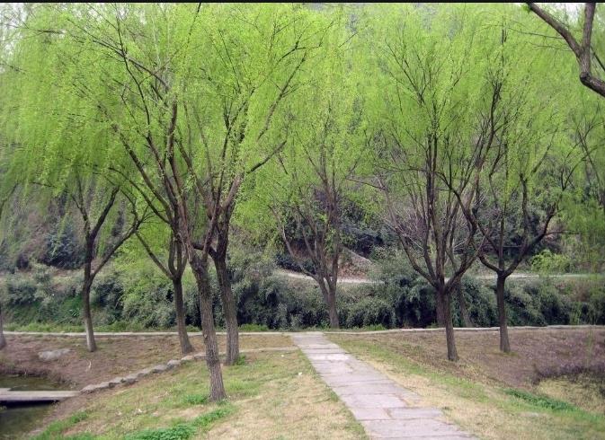 ��䓳���Է������g�ı�Ӱ