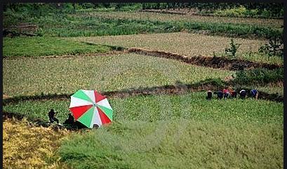 ��䓳���Է������g�ı�Ӱ