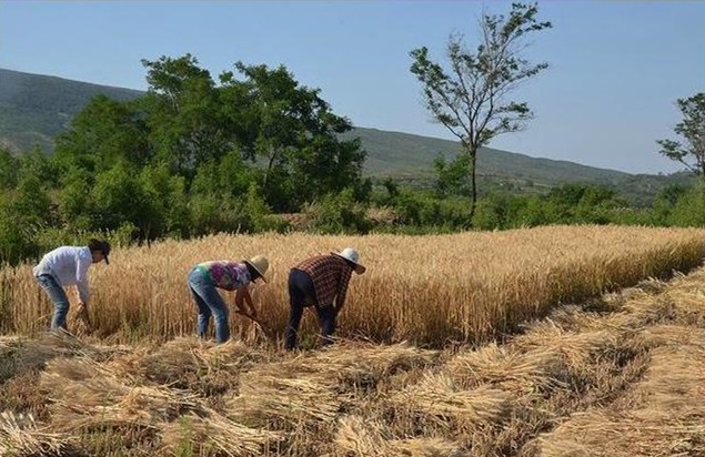 【鋼城文苑】老一輩的勞動節(jié) 【鋼城文苑】老一輩的勞動節(jié)