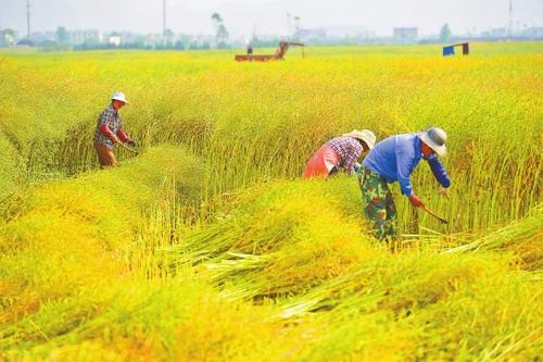 ��䓳���Է��ʮ���Ͳ���