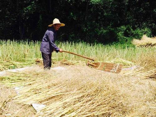 ��䓳���Է��ʮ���Ͳ���