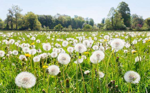 ��䓳���Է���ѹ�Ӣ