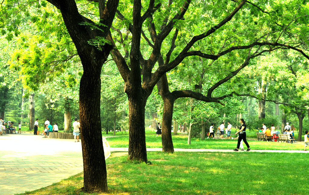 ��䓳���Է���N�¡�ϣ����