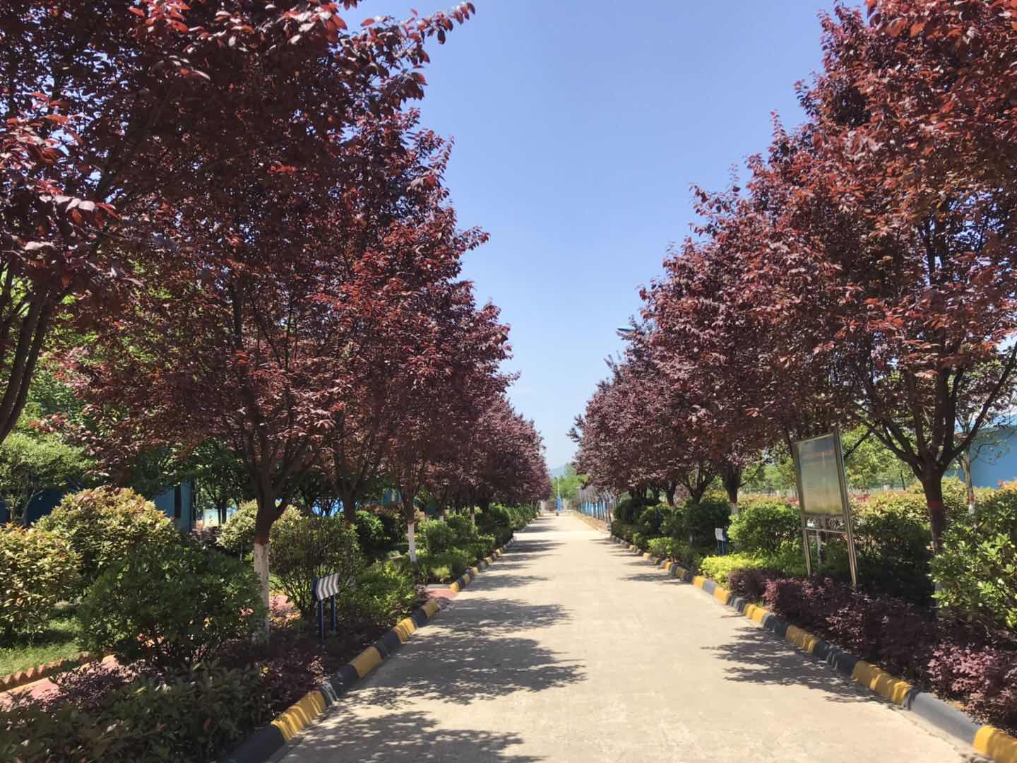 【鋼城文苑】來吧,讓我們伸手感受“漢鋼藍(lán)” 【鋼城文苑】來吧,讓我們伸手感受“漢鋼藍(lán)”