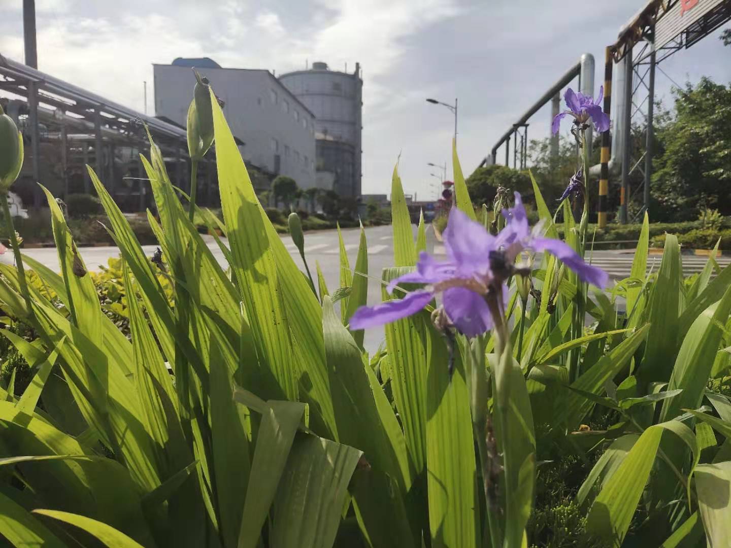 ��䓳���Է���Sβ���_��һ��