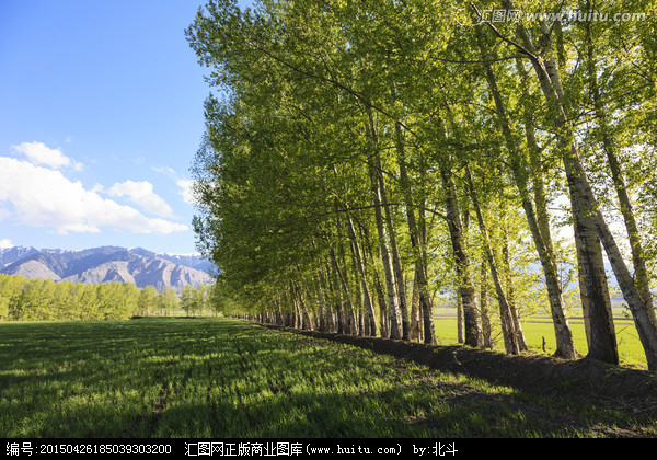 ��䓳���Է���ח�