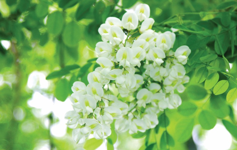 ��䓳���Է����������