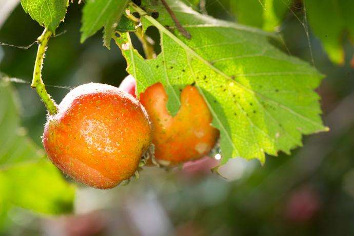 【鋼城文苑】四季之境 【鋼城文苑】四季之境