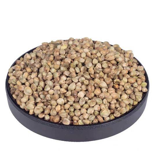 【鋼城文苑】麻籽 【鋼城文苑】麻籽