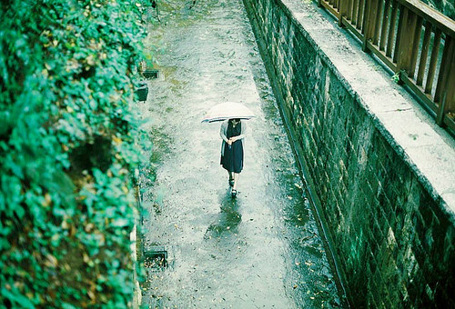 【鋼城文苑】一蓑煙雨任平生