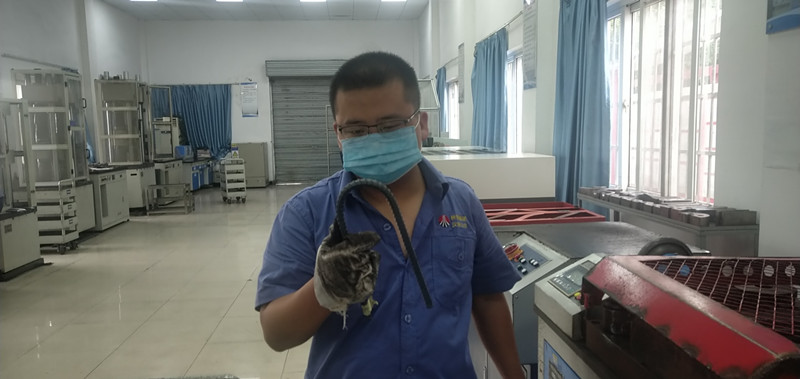 【一線風(fēng)采】楊凱：崗位“急先鋒”讓工作更有“推背感”