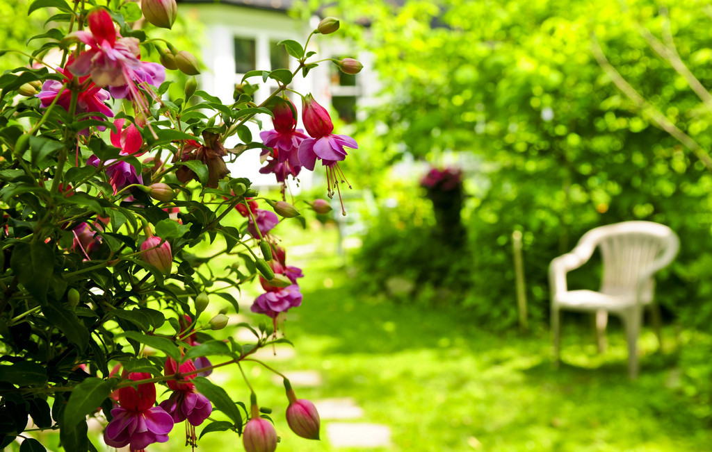 【散文】母親的園子