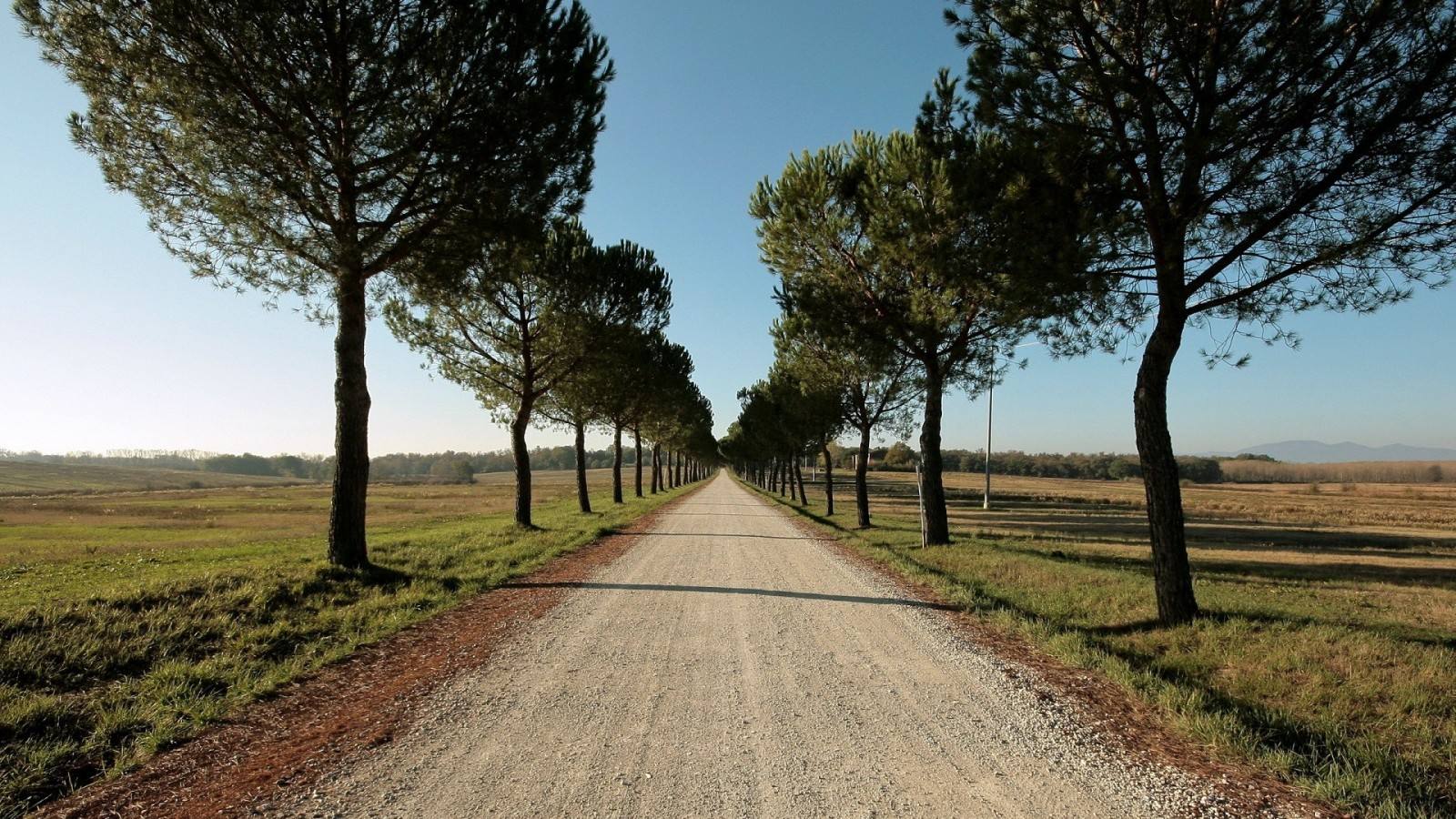 【鋼城文苑】路，一直在變