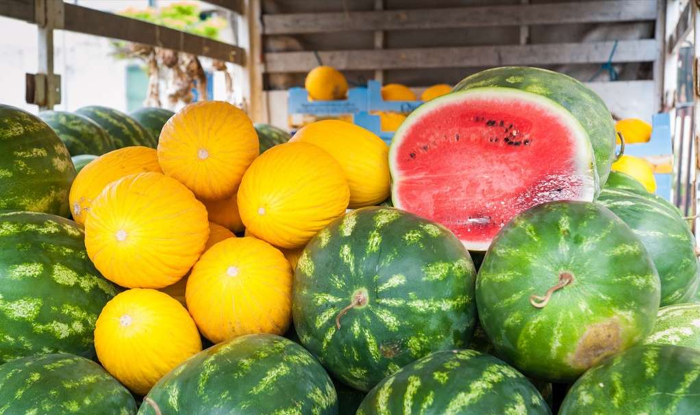 【鋼城文苑】憶夏，是五彩的