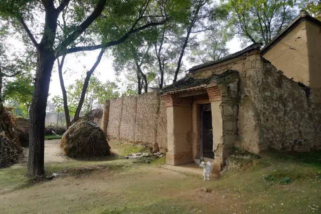 【鋼城文苑】夏天的記憶 【鋼城文苑】夏天的記憶