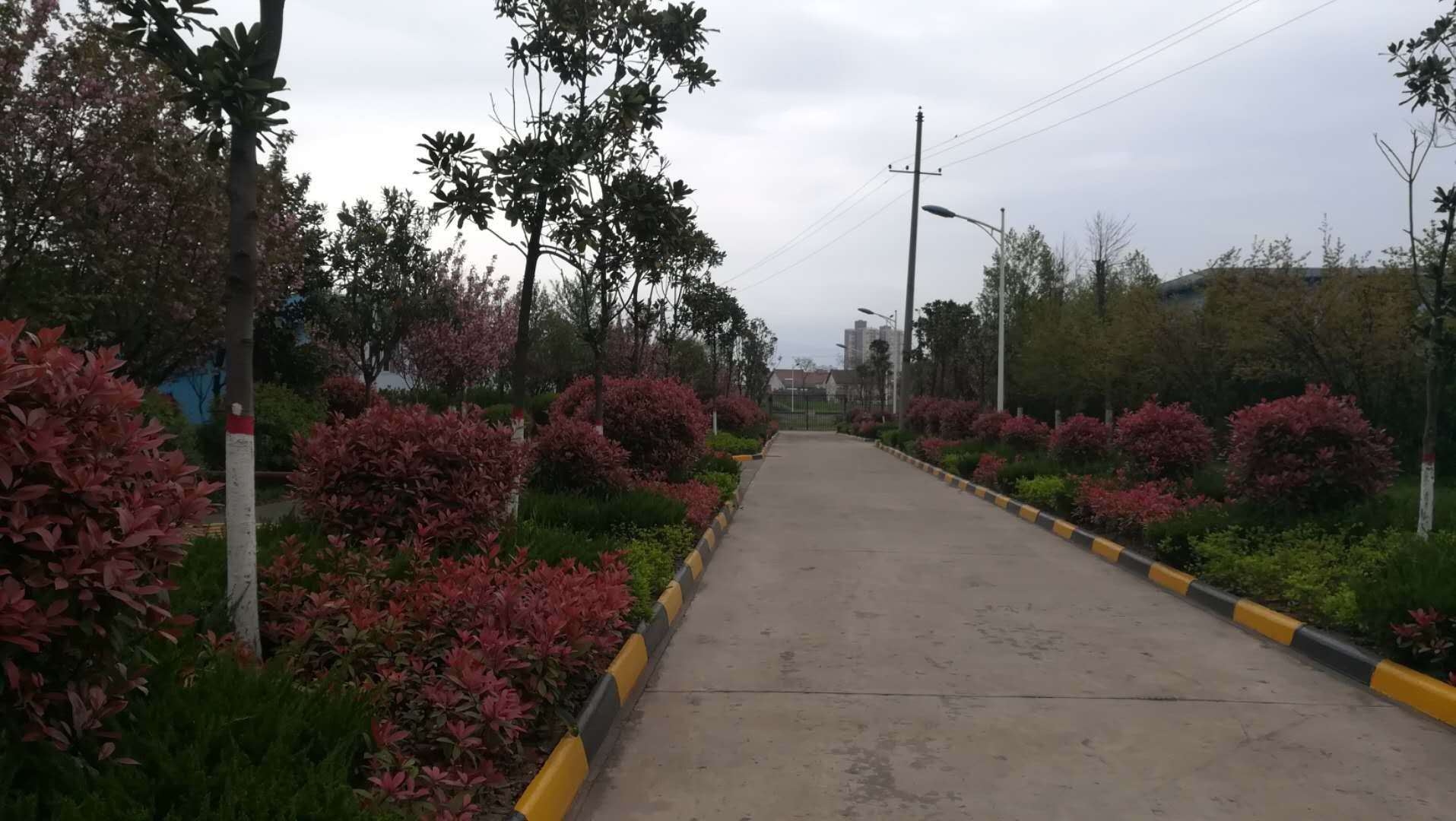 【散文】秋雨 【散文】秋雨