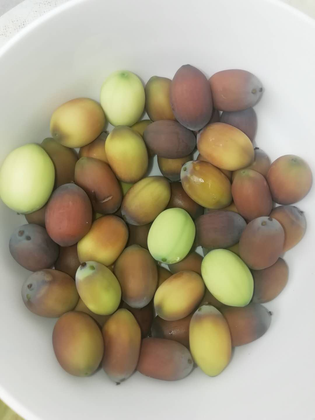 【散文】憶蓮子