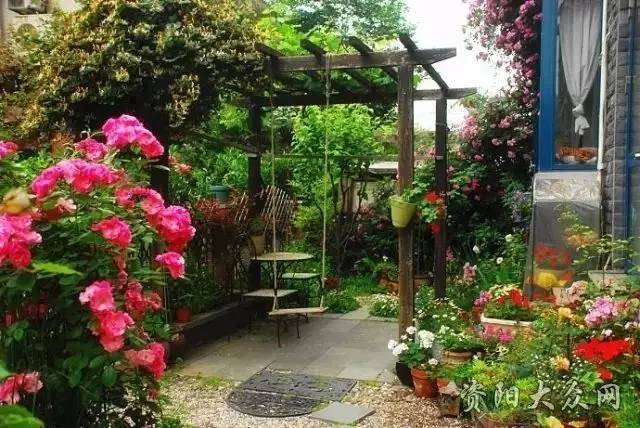 【鋼城文苑】小院深深