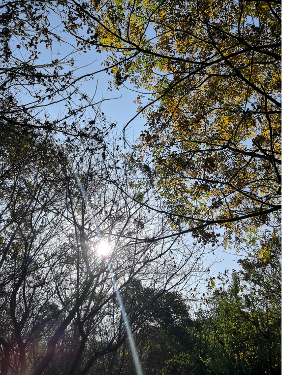 最美的季節最美的定軍山