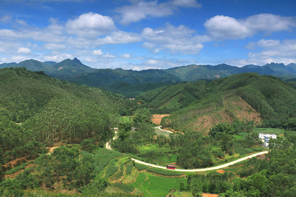那路  那車  那些年