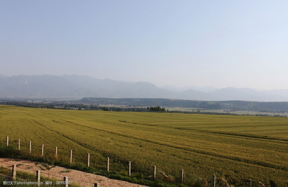 【鋼城文苑】童年的端午