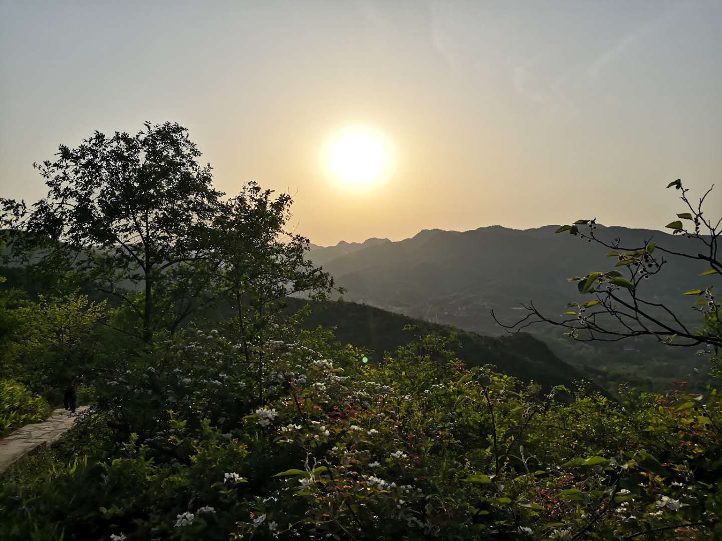 【鋼城文苑】大美勉縣 【鋼城文苑】大美勉縣