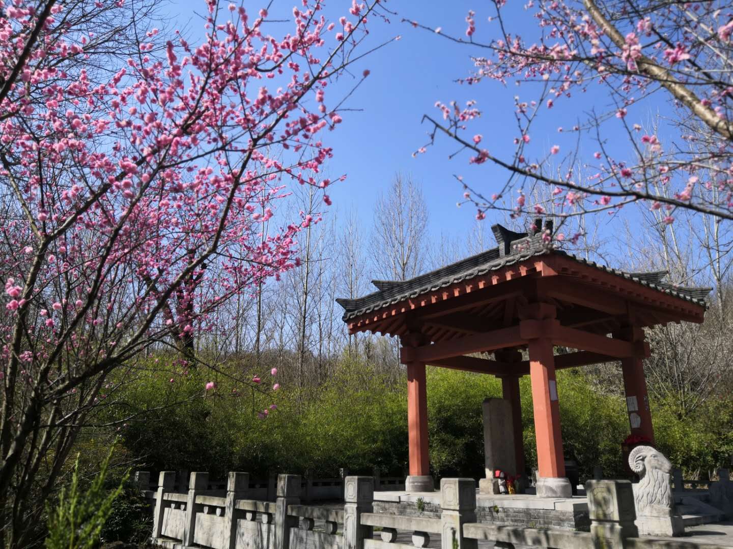 【鋼城文苑】大美勉縣 【鋼城文苑】大美勉縣