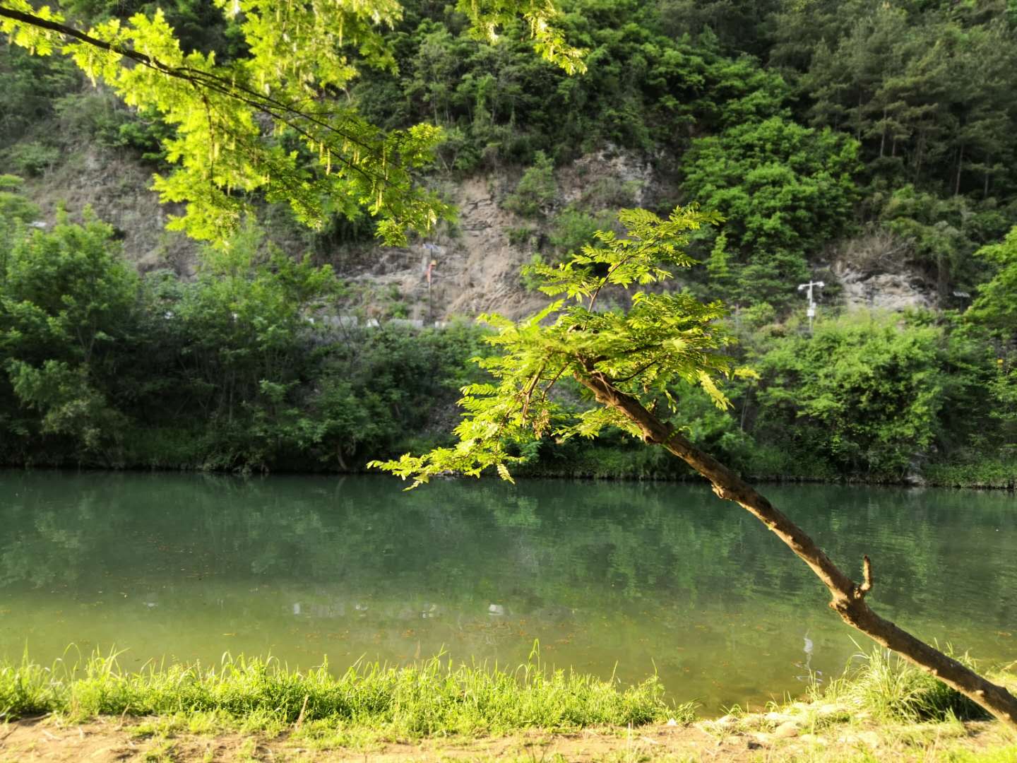 【鋼城文苑】大美勉縣 【鋼城文苑】大美勉縣