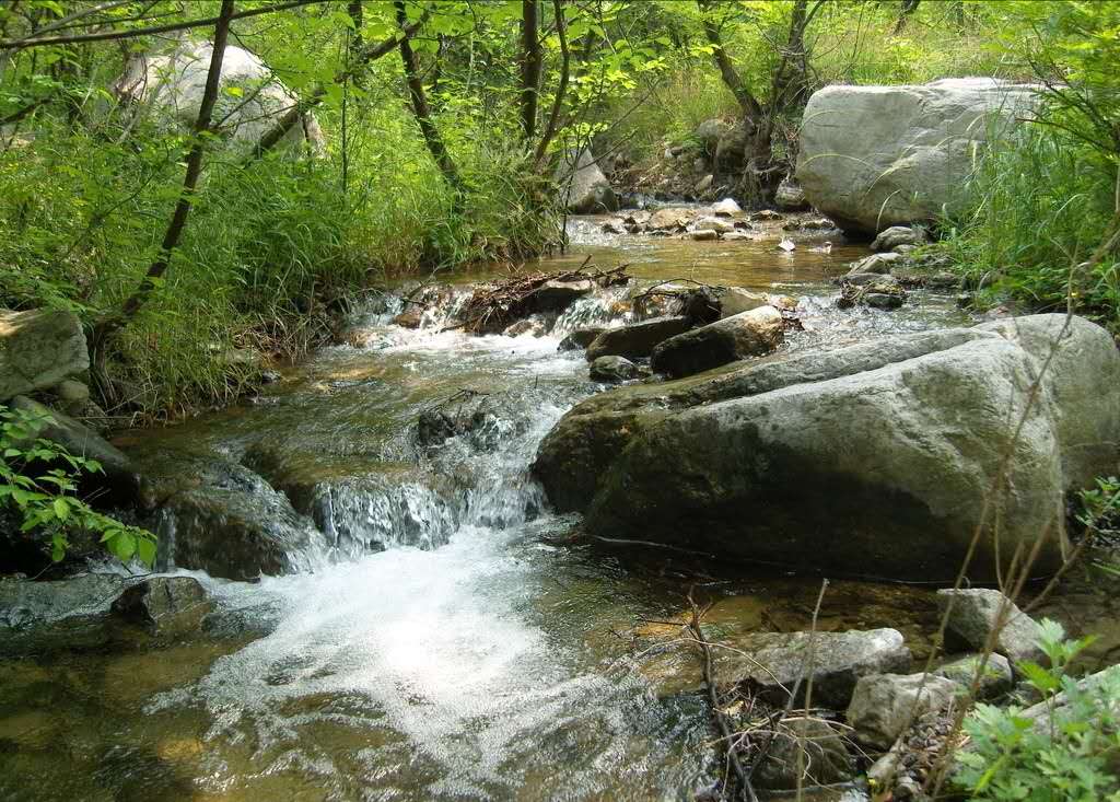 【鋼城文苑】故鄉的小河