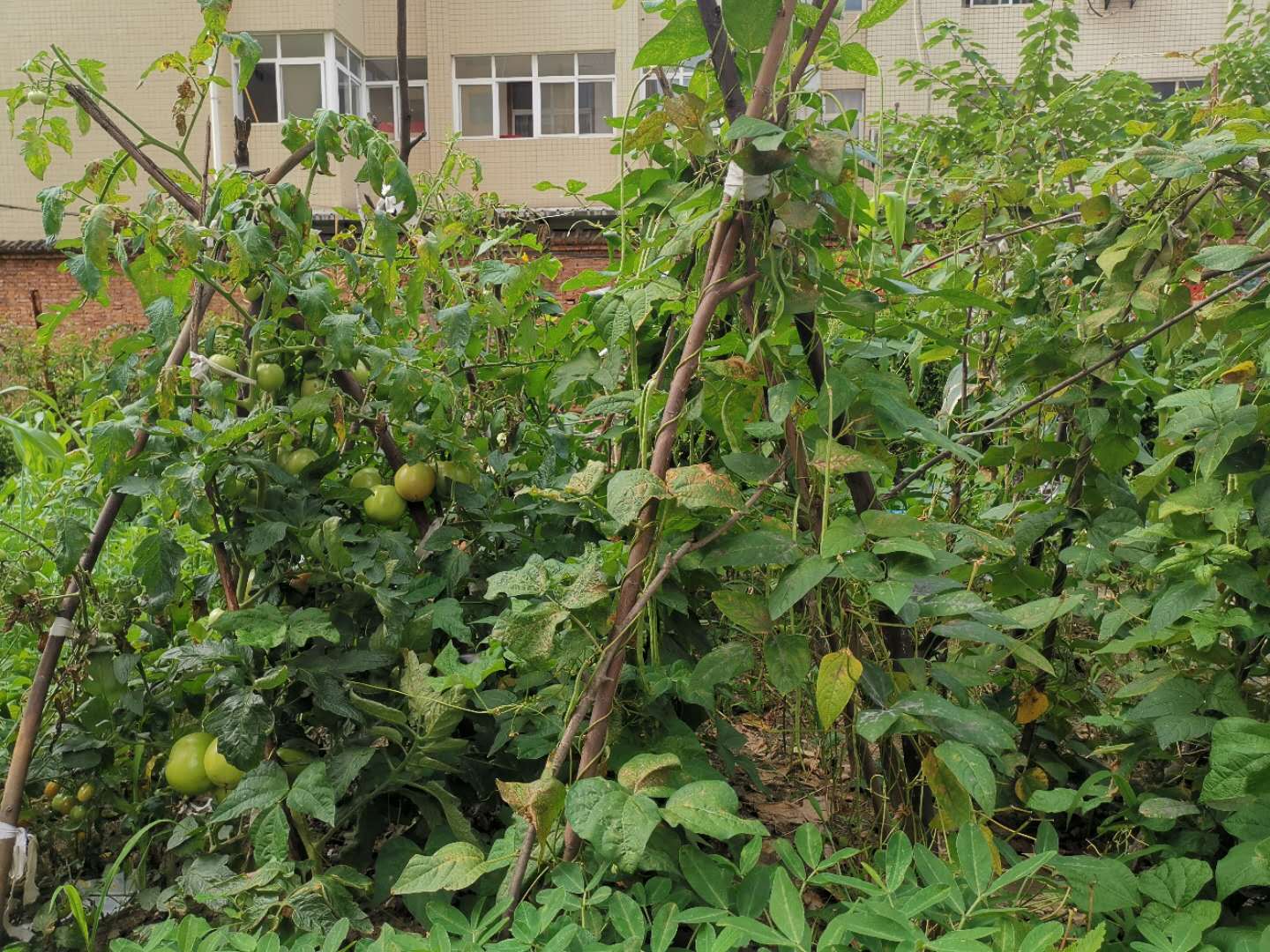 【鋼城文苑】你若安好,便是晴天 【鋼城文苑】你若安好,便是晴天