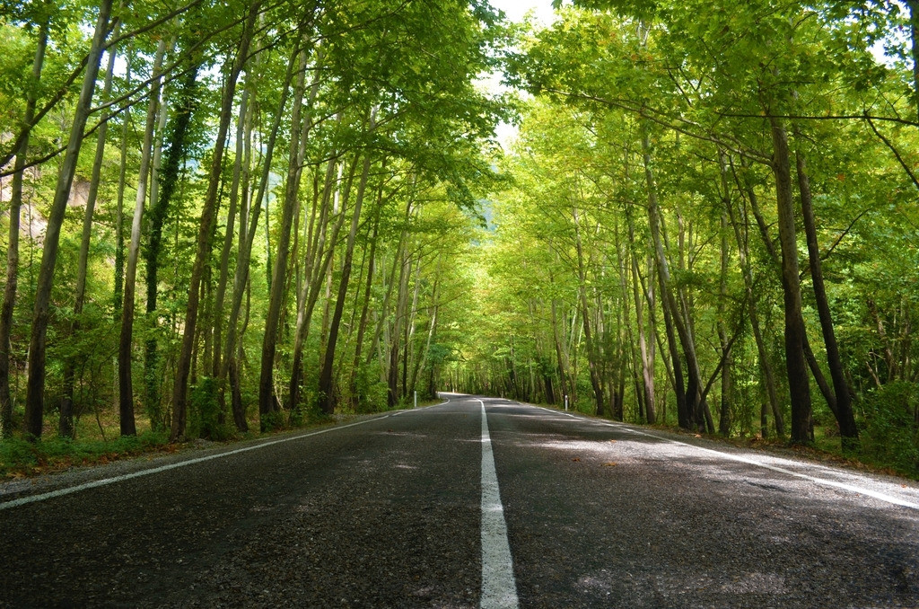 【鋼城文苑】老家門前那條路 【鋼城文苑】老家門前那條路