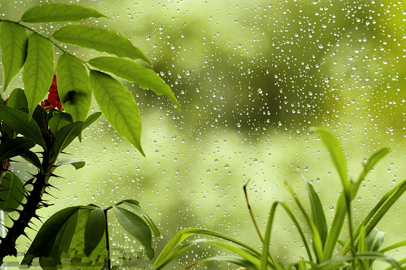 【鋼城文苑】聽雨