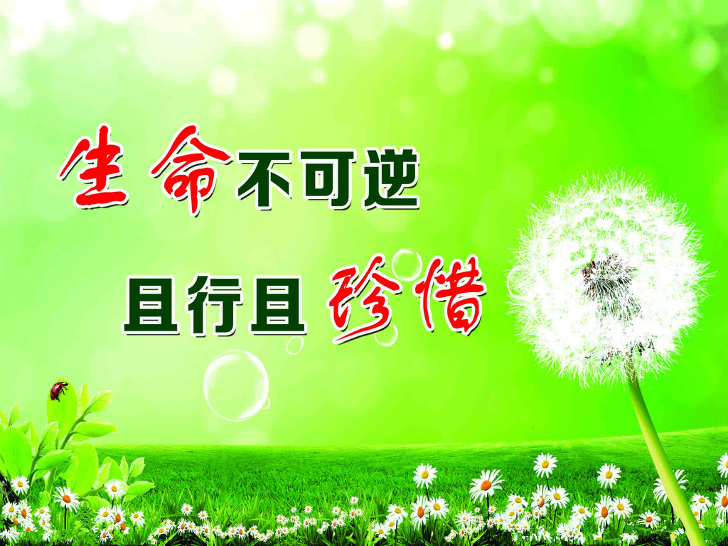 【安全文化】一次“親密”接觸讓我終生難忘