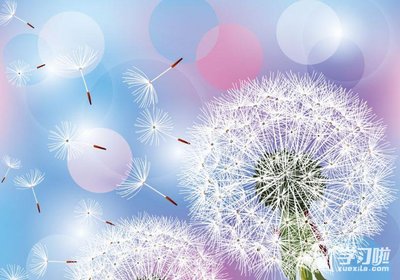 【鋼城文苑】路 【鋼城文苑】路